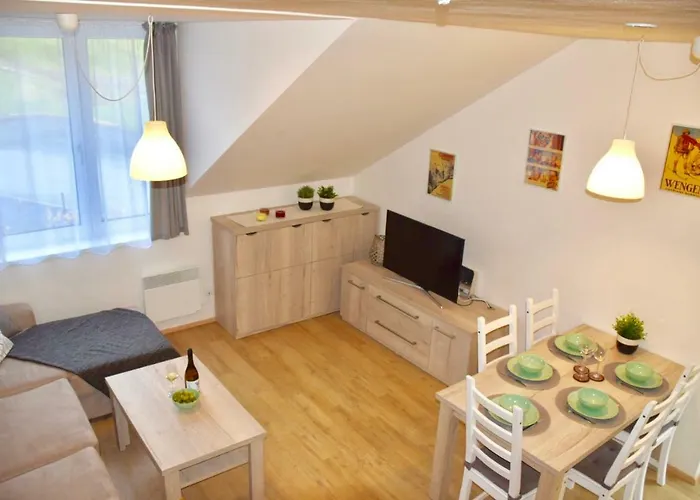 Apartman Dolni Morava * Dolní Morava